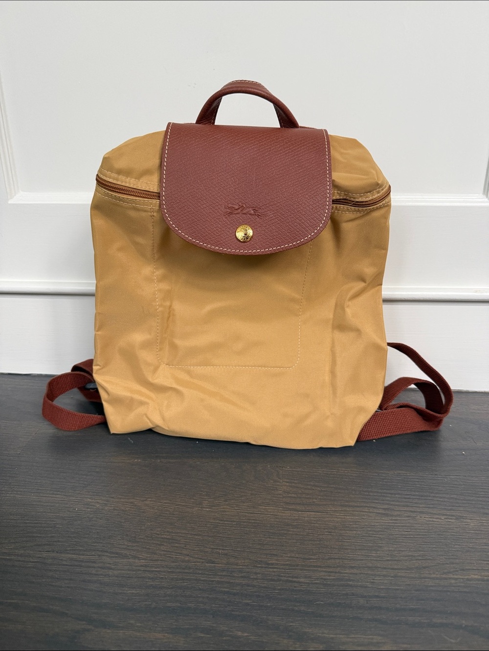 Longchamp Backpack